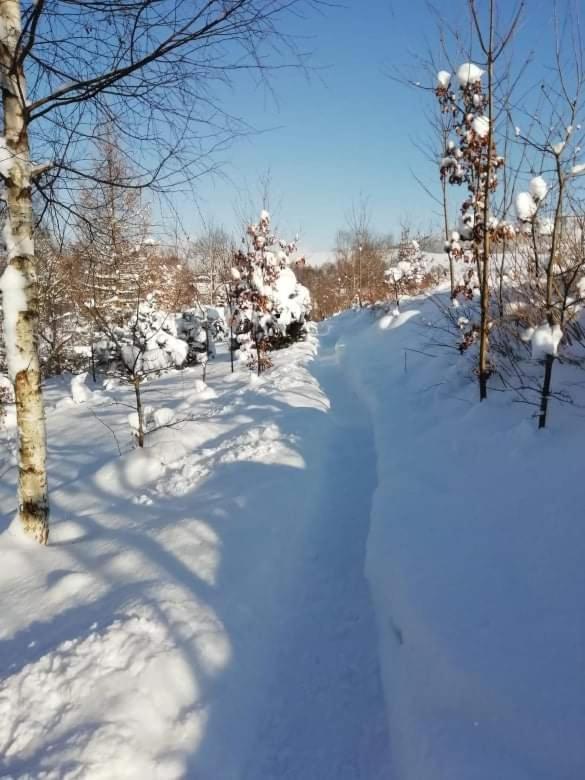 Aparthotel Stará Škola Hedeč Králíky Esterno foto