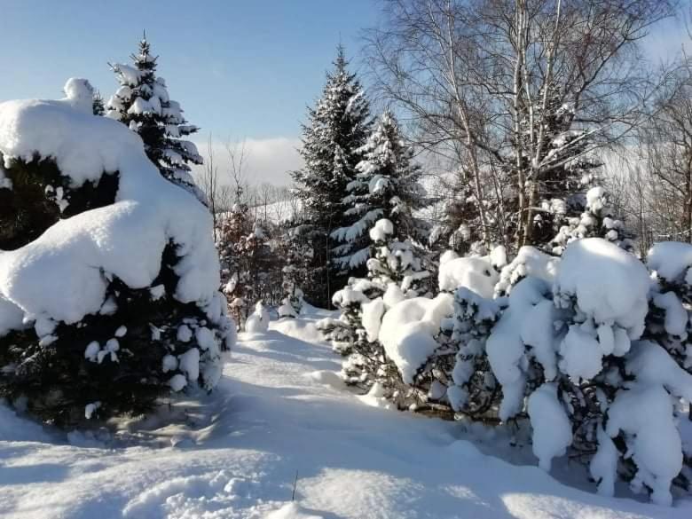 Aparthotel Stará Škola Hedeč Králíky Esterno foto